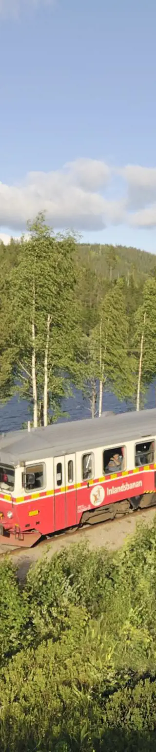Lasse in der ikonischen Inlandsbanan Schwedens Natur vorbei ziehen